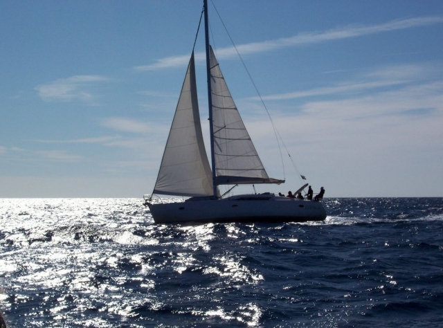 vacaciones en la alta mar 